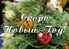Новогодние Праздники В Черногории